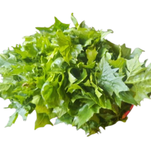 Lahori_Palak