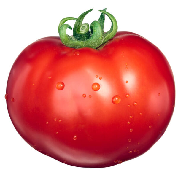 Tomato Marglobe | Organica Pakistan