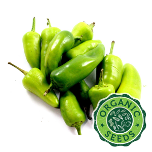 Chili-Pepper with seal