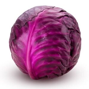 Cabbage Purple